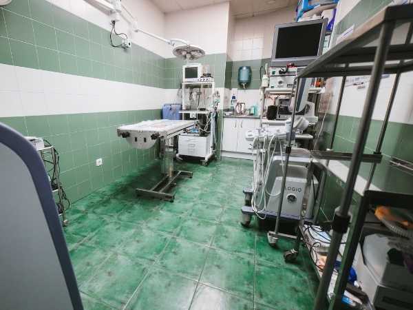 Cirugía Veterinaria en León